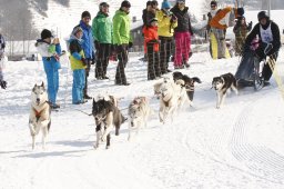 Lenk 2012 SM
